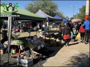 people are walking around a farmers market with tents and umbrellas