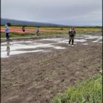 people are walking through a field of flowers in the rain