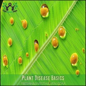 Plant Disease Basics