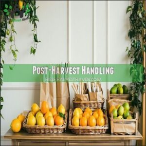 Post-Harvest Handling