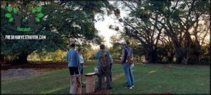 Rural:una experiencia ambiental Park