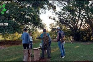 Rural:una experiencia ambiental Park
