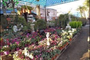 Secretos del Jardin