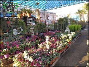 Secretos del Jardin
