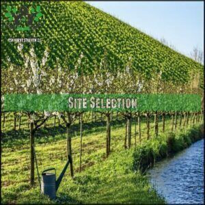 Site Selection