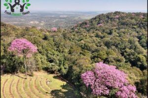 temático de la Cruz Park