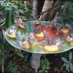 there are many birds that are eating on the fruit on the bird bath
