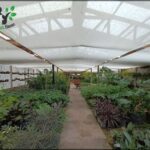 there are many plants in the greenhouses and a walkway