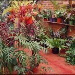 there are many plants that are in the corner of the room