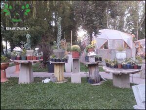 there are many pots and plants on the tables in the yard