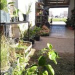 there are many potted plants in the yard of this house