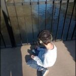 there is a boy sitting on the ground looking at a bird