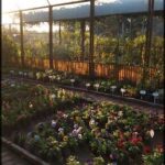 there is a greenhouse with many plants in it and a lot of flowers