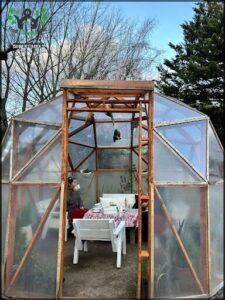 there is a man sitting at a table in a greenhouse