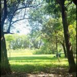 there is a man that is sitting on a bench in the woods