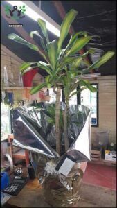 there is a plant in a vase on a table with a phone