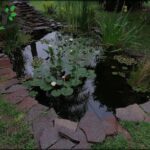there is a pond with a bridge and a pond with water lilies