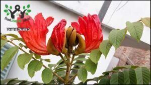 there is a red flower that is growing in the middle of a tree