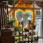 there is a room with a lot of plants and a window