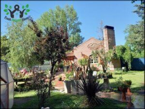 there is a small garden with a patio and a fire hydrant