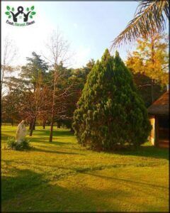 there is a small house in the middle of a grassy field