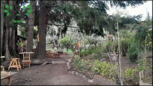 Tomasini Family Nursery