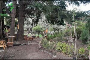 Tomasini Family Nursery