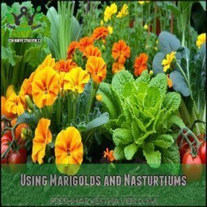 Using Marigolds and Nasturtiums