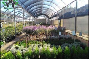 VallsGarden