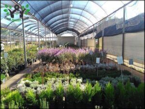 VallsGarden
