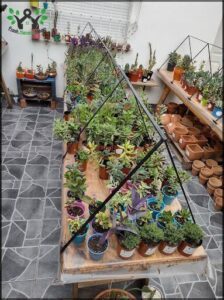 Verde-Arte-Deco