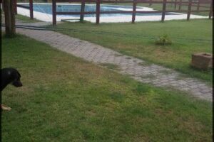Vivero Allpamanta