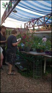 Vivero Alto Dorrego 0