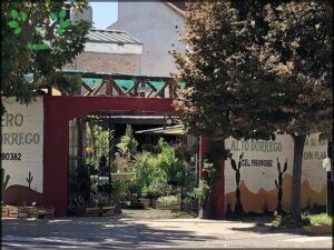 Vivero Alto Dorrego 1
