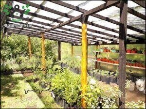Vivero Arbustos