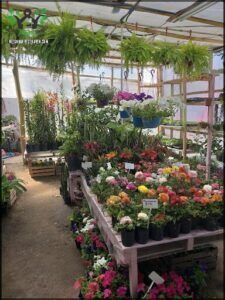 Vivero Arte Verde Neuquén