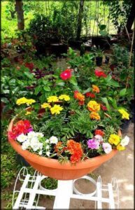 Vivero Autopista