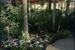 Vivero Corrientes