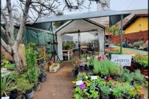 Vivero del Bajo