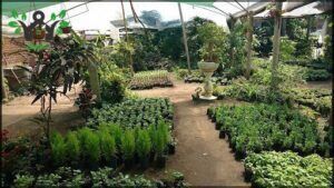 Vivero Del Norte
