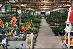 Vivero Don Felipe