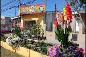 Vivero El Bosque Don Bosco