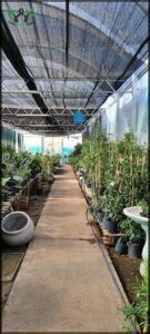 Vivero El Edén