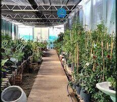 Vivero El Edén