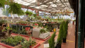 Vivero el Jardín de las Flores