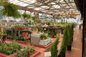 Vivero el Jardín de las Flores