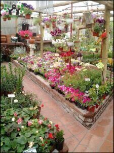 Vivero El Milagro