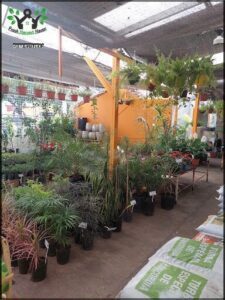 VIVERO EL VERGEL