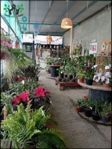 Vivero - ESPACIO CREA