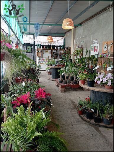 Vivero - ESPACIO CREA